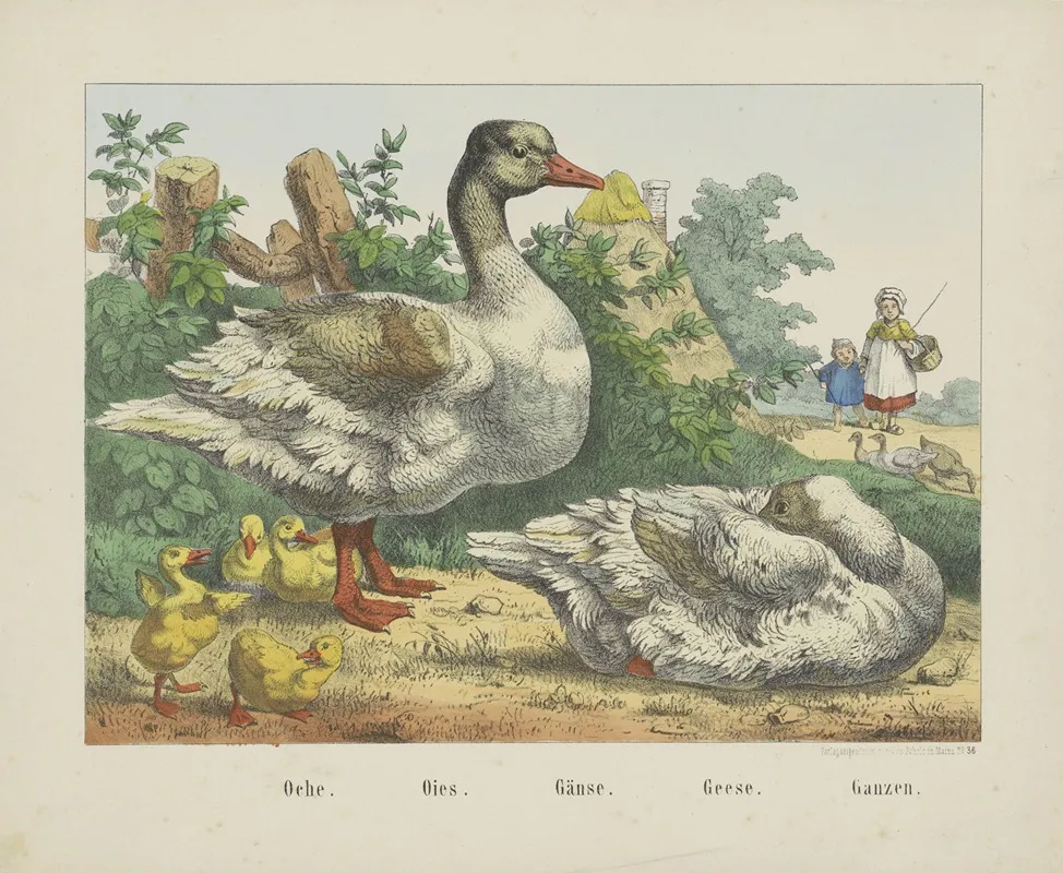 Geese 4 Wall Art by Joseph Scholz - High-Resolution Digital Print