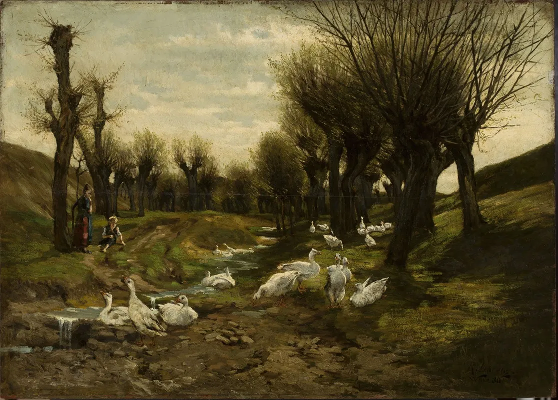 Geese Alongside A Creek