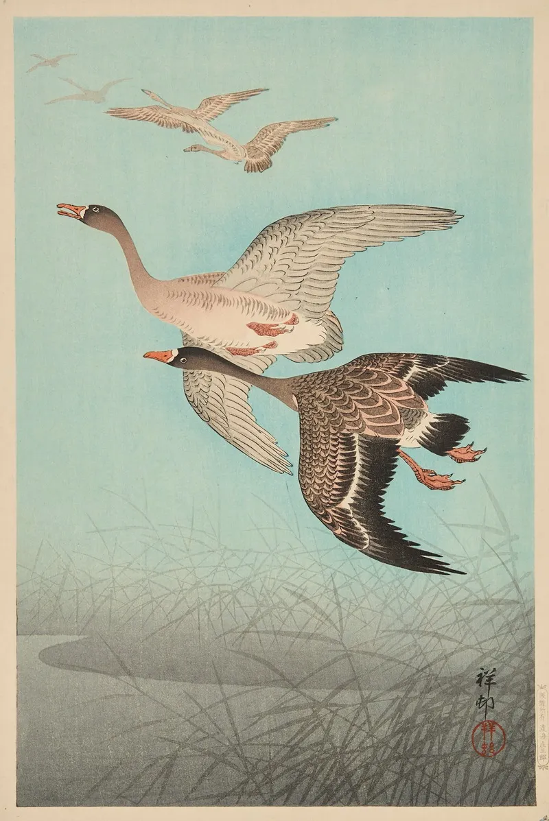 Geese Flying Over Reed Wall Art by Ohara Koson - High-Resolution Digital Print
