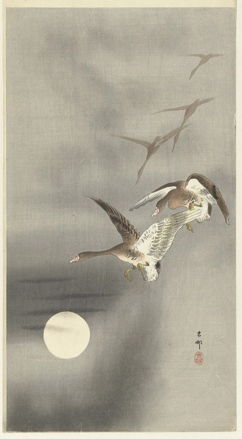 Geese In Flight
