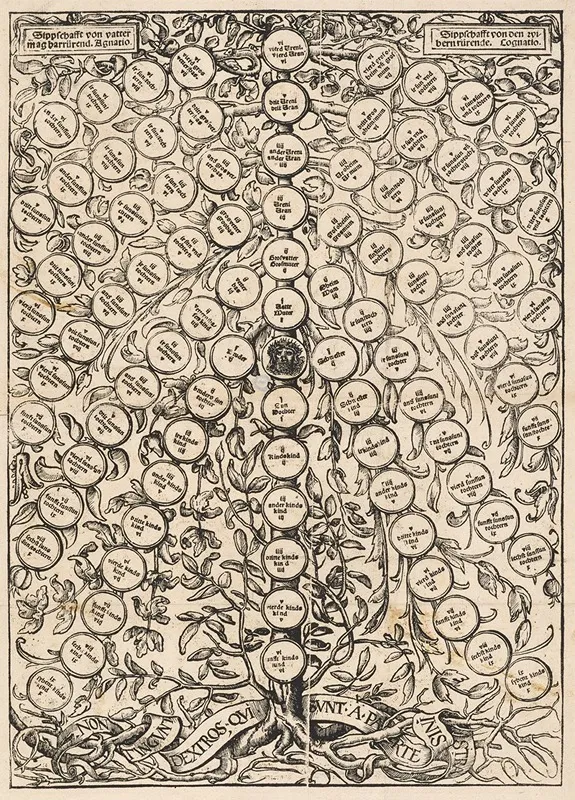 Genealogischer Baum
