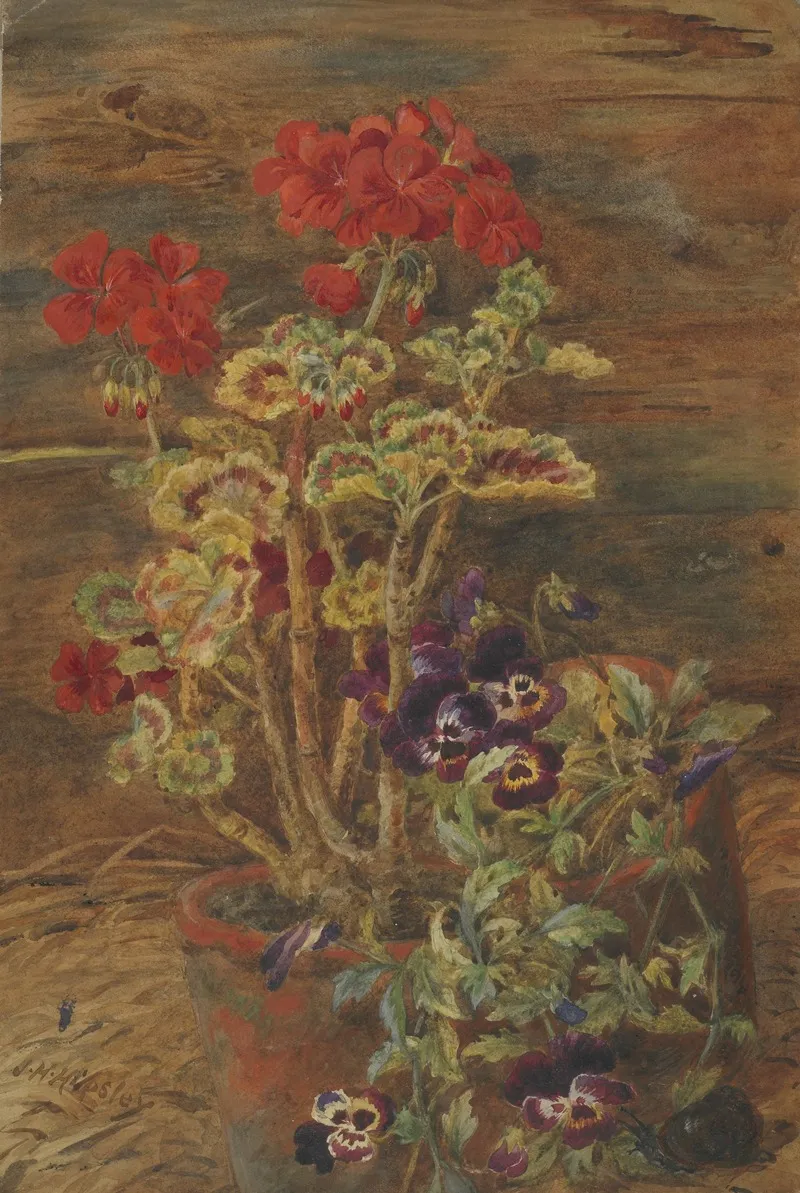 Geraniums And Pansies Wall Art by John Henry Hipsley - High-Resolution Digital Print