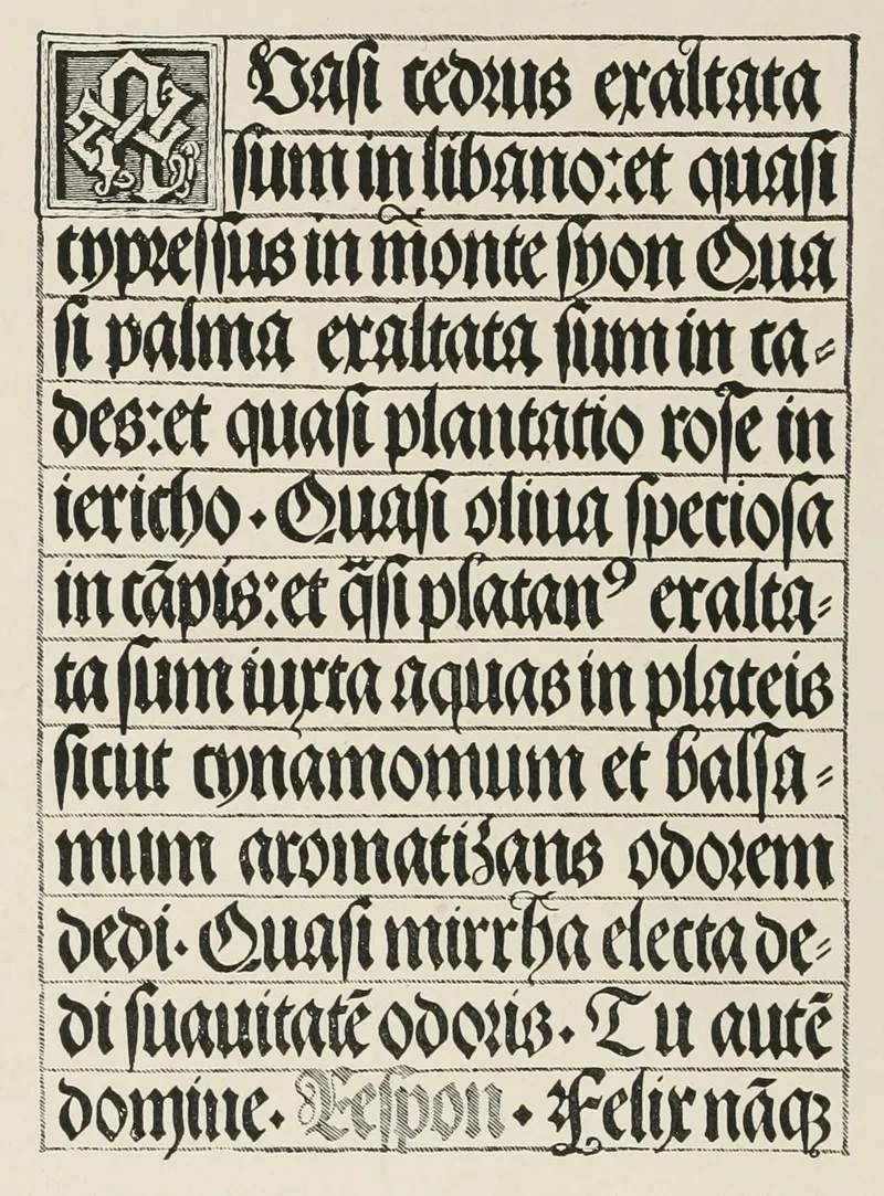 German Blackletter Page Wall Art by Frank Chouteau Brown - High-Resolution Digital Print