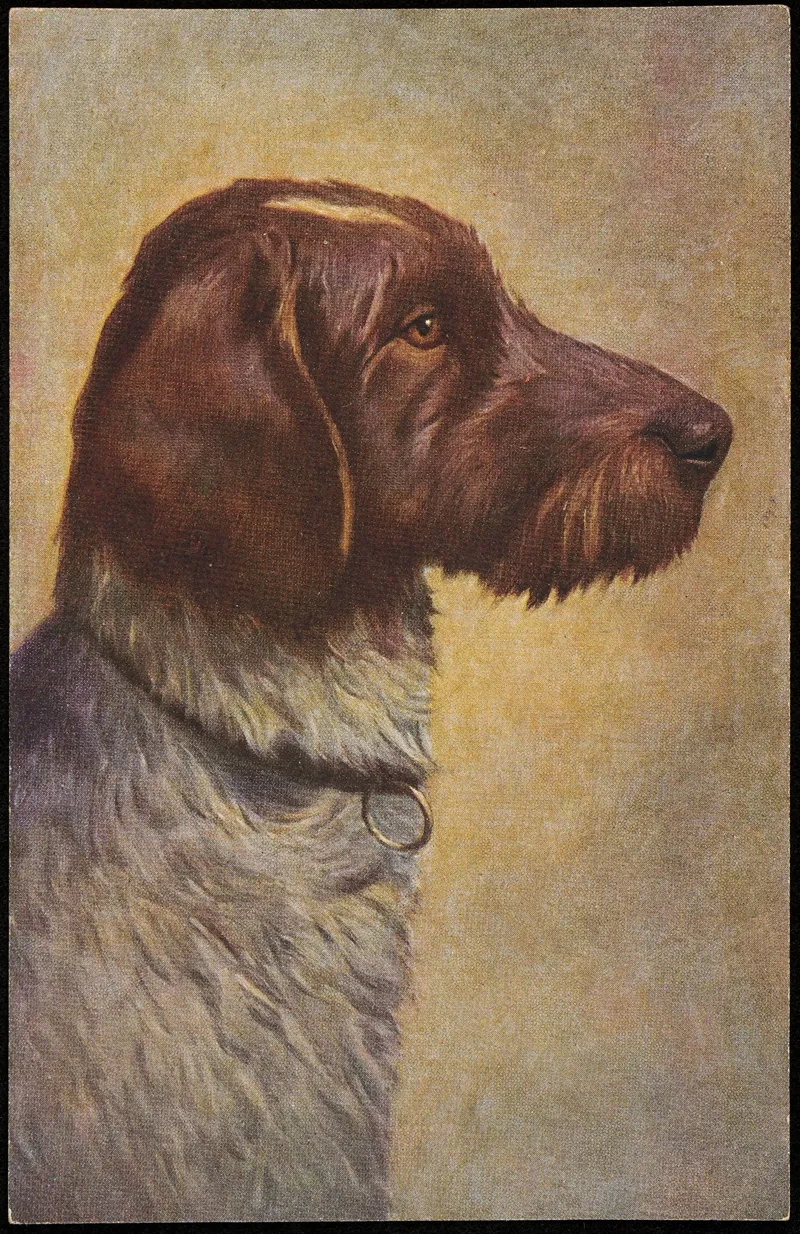 German Pointer Wall Art by O.G.Z.-L - High-Resolution Digital Print