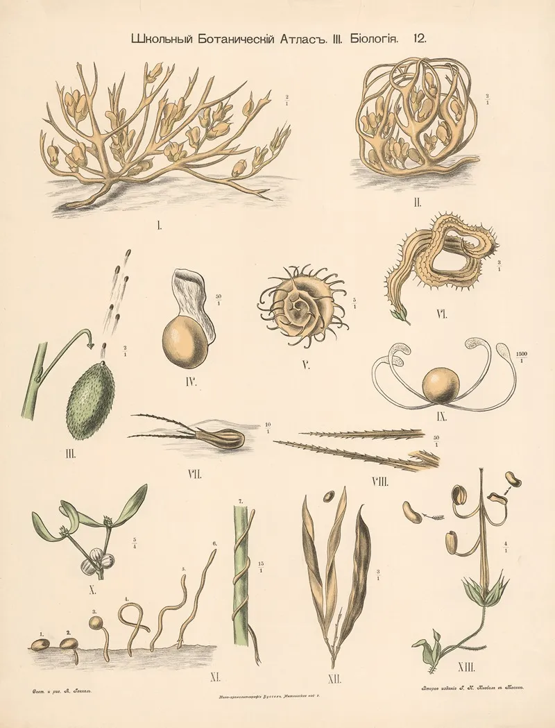 Germination Wall Art by Alexander-Paul Henckel - High-Resolution Digital Print