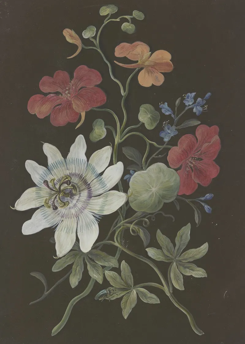 Gesteck Aus Passionsblume Passiflora Roter Kapuzinerkresse Tropaeplum Und Vergismeinnicht Myosotis Mit Blauem Kafer Wall Art by Barbara Regina Dietzsch - High-Resolution Digital Print