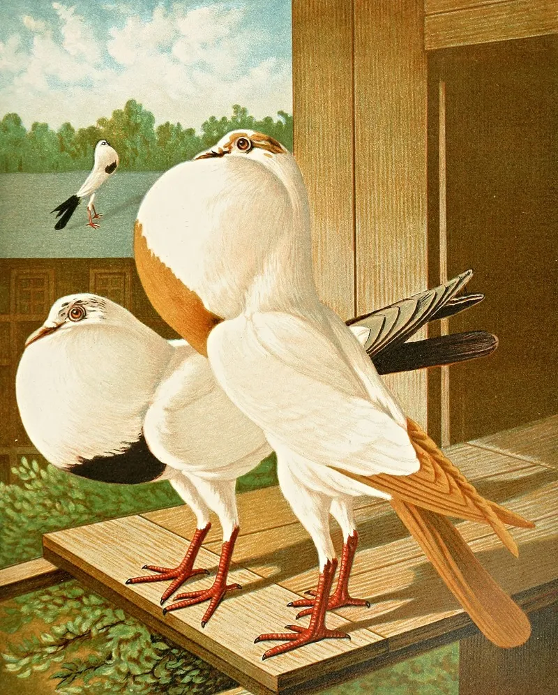 Gestorchte Brunner Kropfer Wall Art by Gustav Prütz - High-Resolution Digital Print