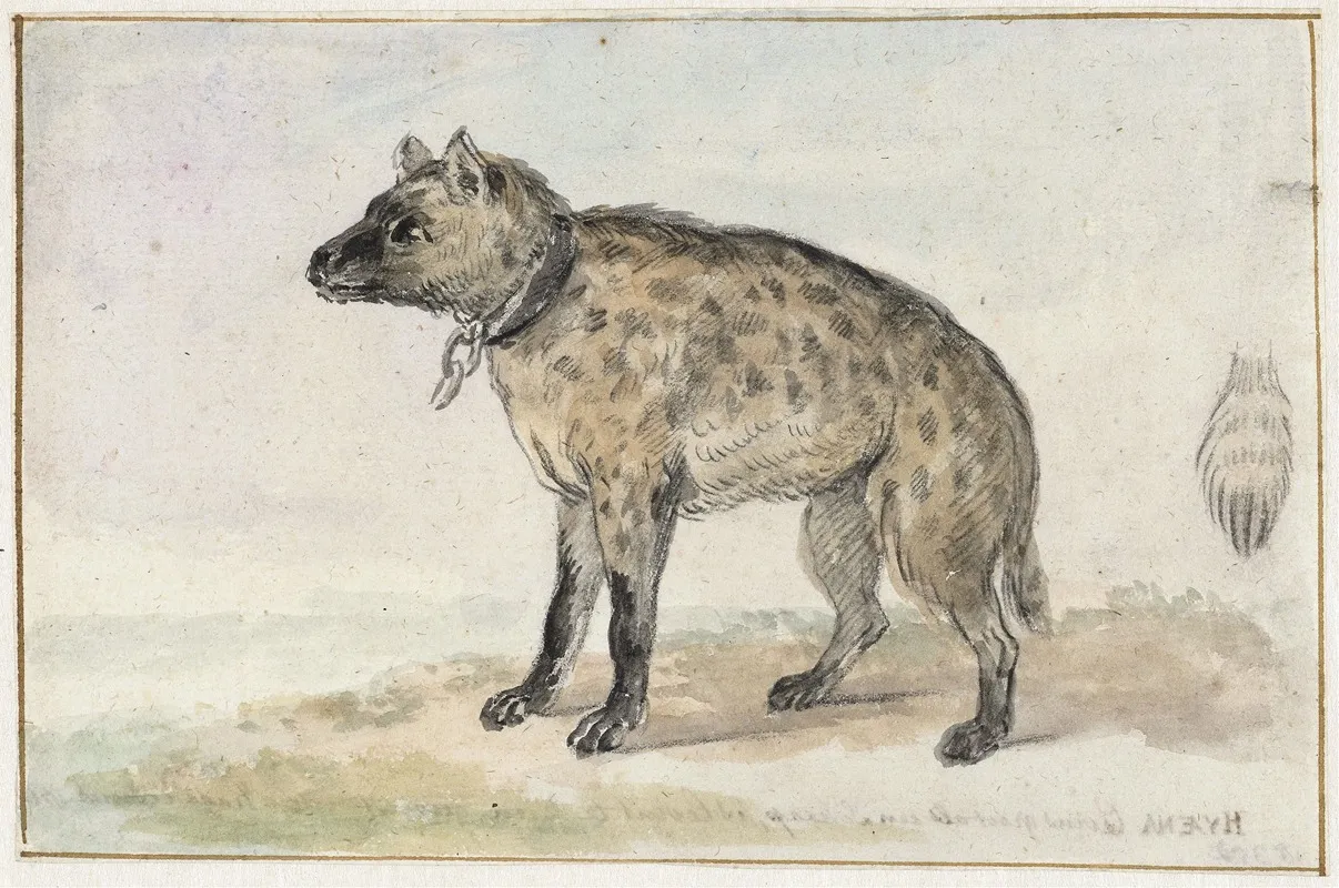 Gevlekte Hyena Wall Art by Aert Schouman - High-Resolution Digital Print