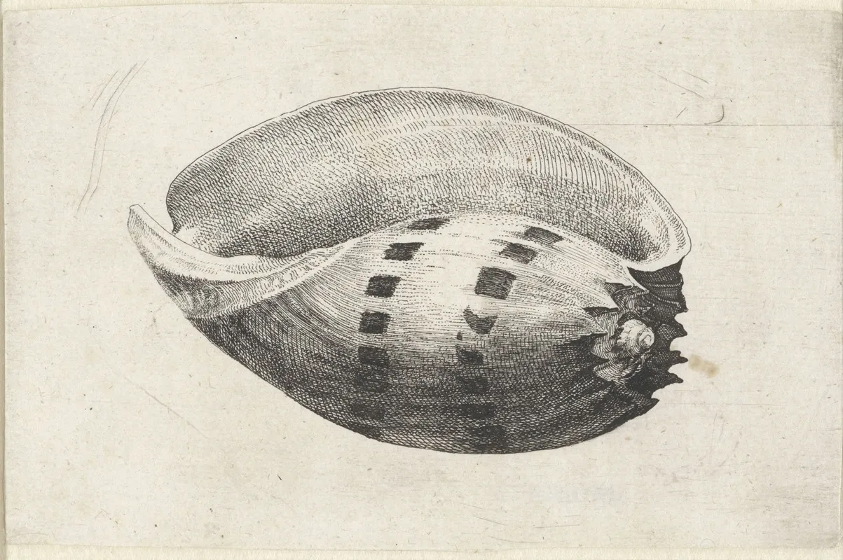 Giant Baler Melo Amphora