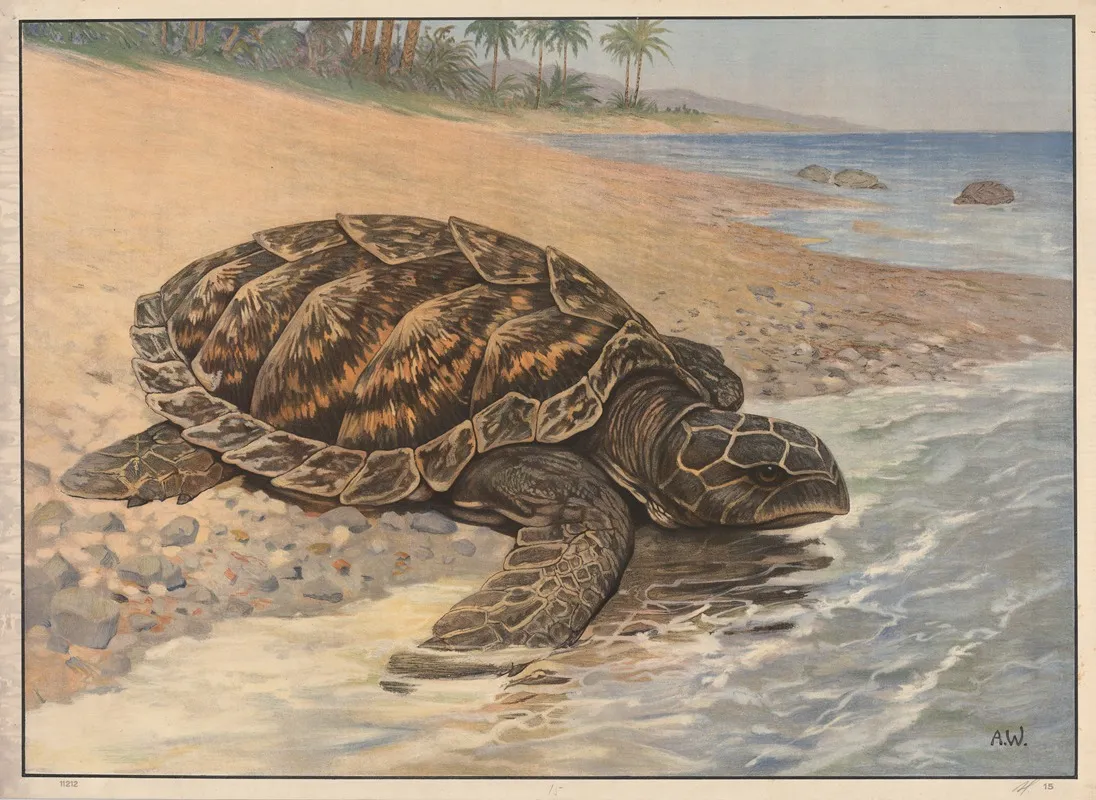 Giant Tortoise Wall Art by Alfred Weczerzick - High-Resolution Digital Print