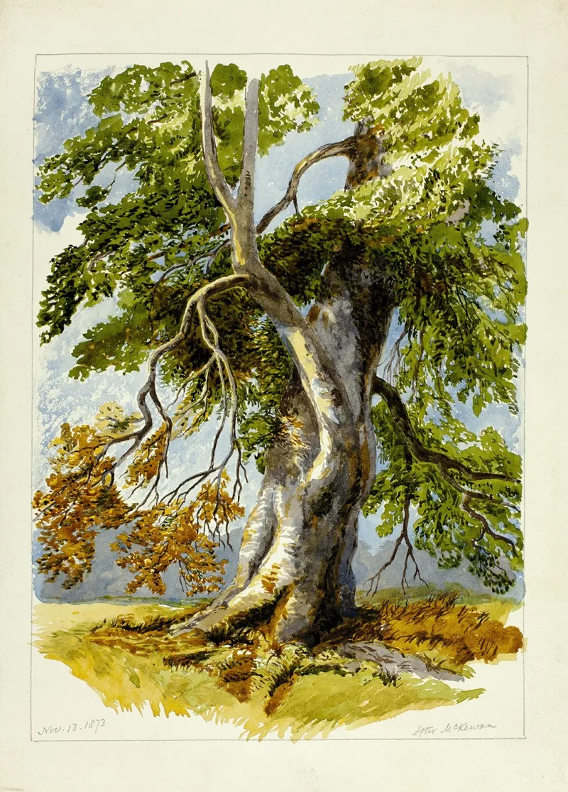 Gnarled Tree Wall Art by After David Hall McKewan - High-Resolution Digital Print