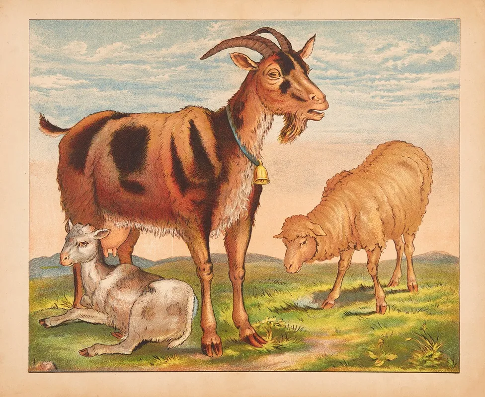 Goat Kid And Sheep Wall Art by V. Oehmigke &amp; Riemschneider - High-Resolution Digital Print
