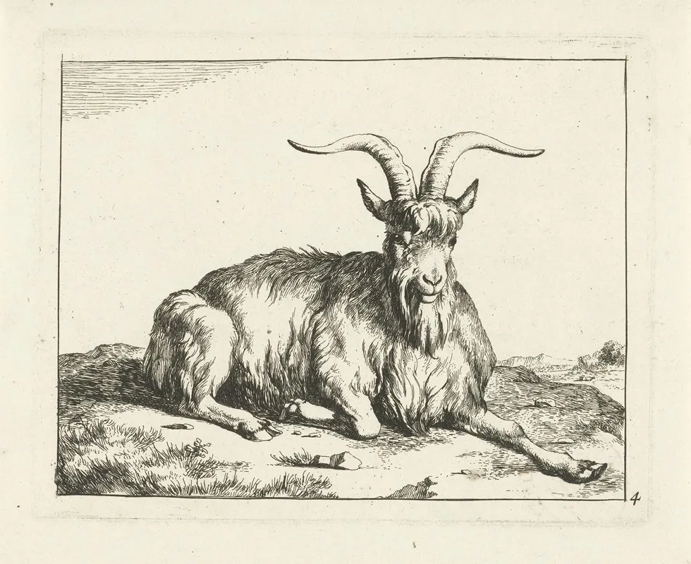 Goat Lying Down With Front Leg Stretched Out Wall Art by Marcus de Bye - High-Resolution Digital Print