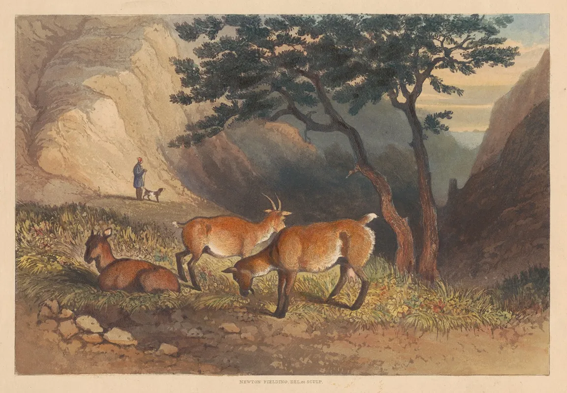 Goats In Glencoe Wall Art by Newton Limbird Smith Fielding - High-Resolution Digital Print