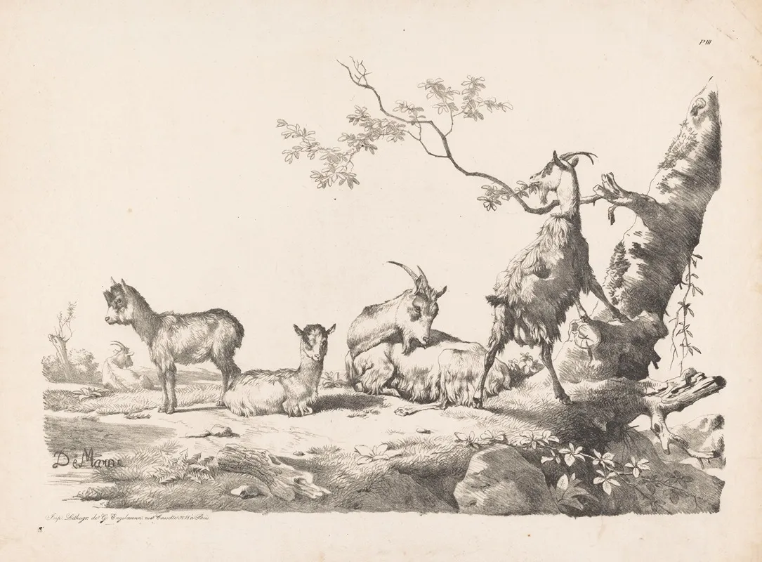 Goats With Young In A Landscape Near A Tree