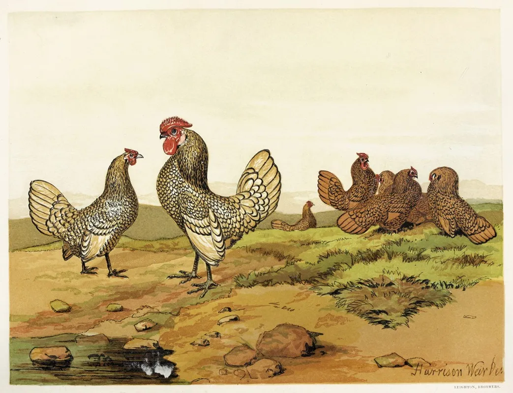 Gold And Silver Laced Bantams Wall Art by Harrison Weir - High-Resolution Digital Print