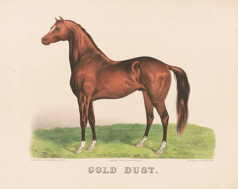 Gold Dust 2 Wall Art by John Cameron - High-Resolution Digital Print