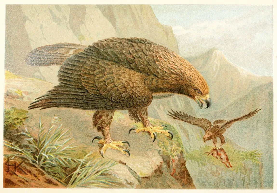 Golden Eagle 2 Wall Art by Anonymous - High-Resolution Digital Print