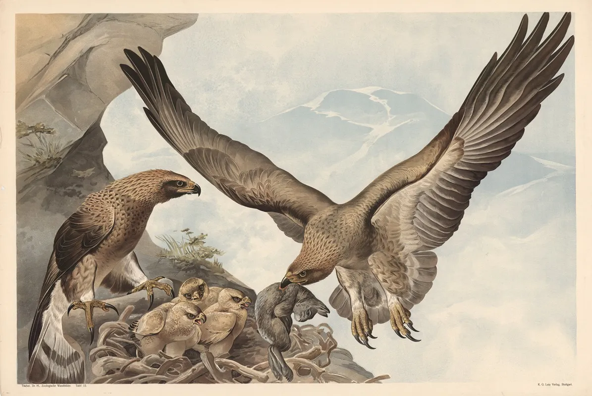 Golden Eagle 5 Wall Art by Alfred Fiedler - High-Resolution Digital Print