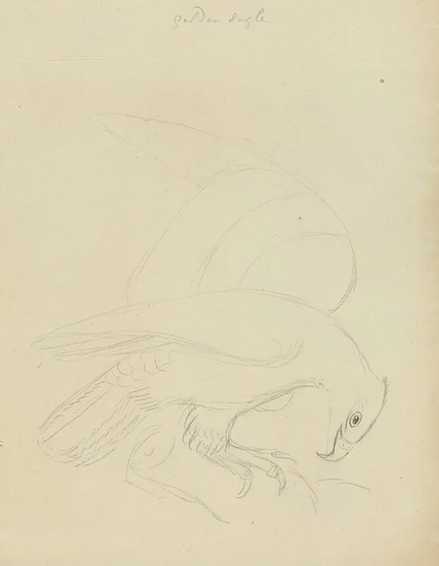 Figurative