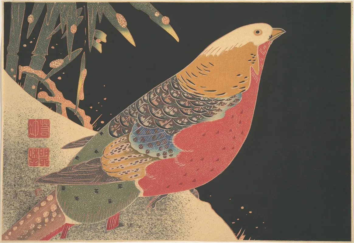 Golden Pheasant In The Snow