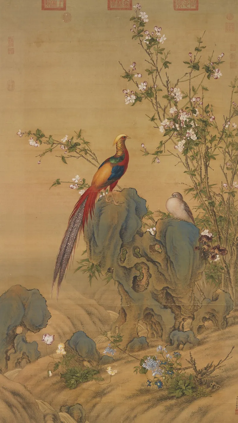 Golden Pheasants In Spring
