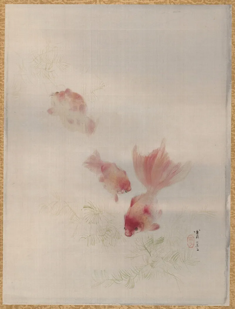 Goldfish 3