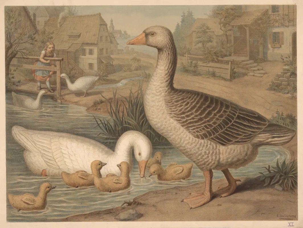 Goose 4 Wall Art by Emil Schmidt - High-Resolution Digital Print