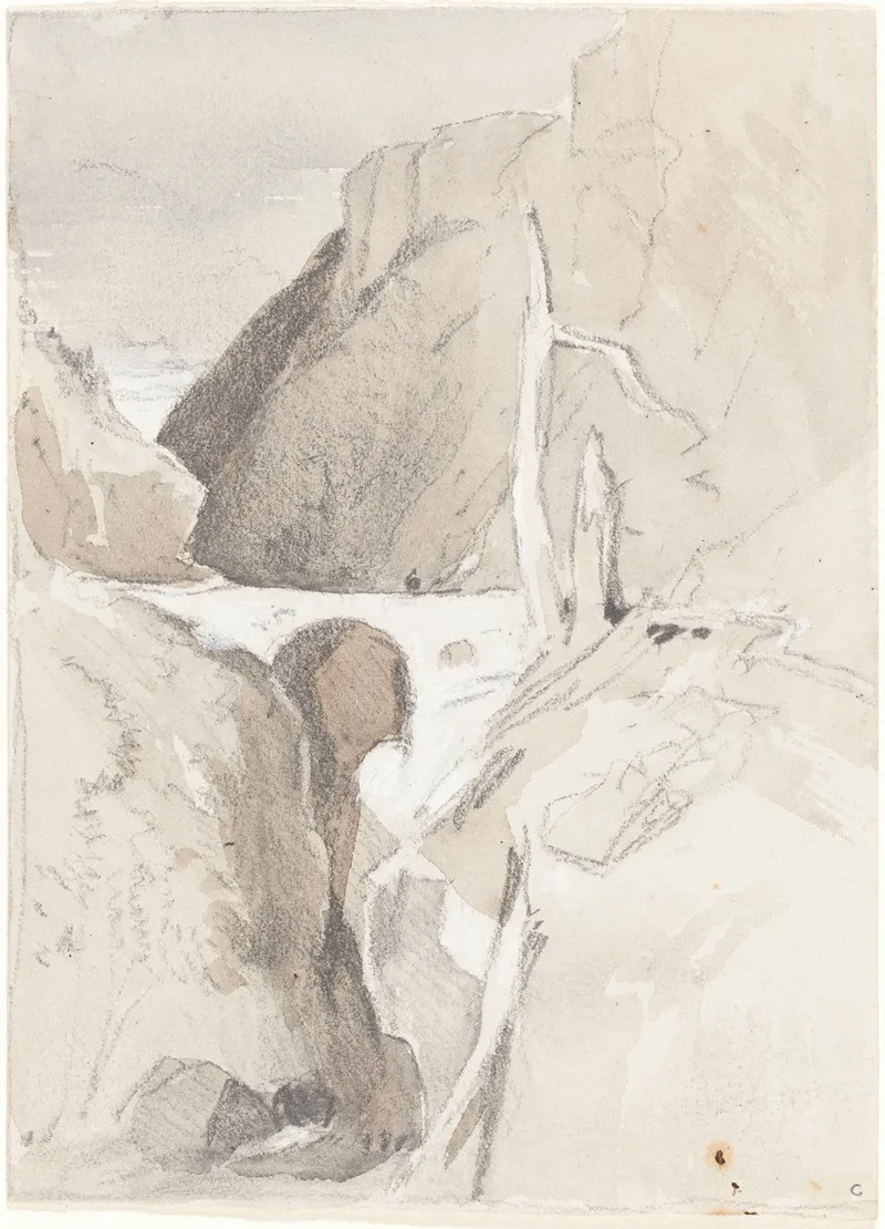 Gorge With Tree Stumps