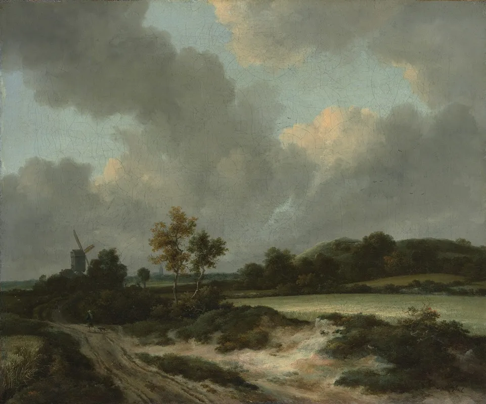 Grainfields