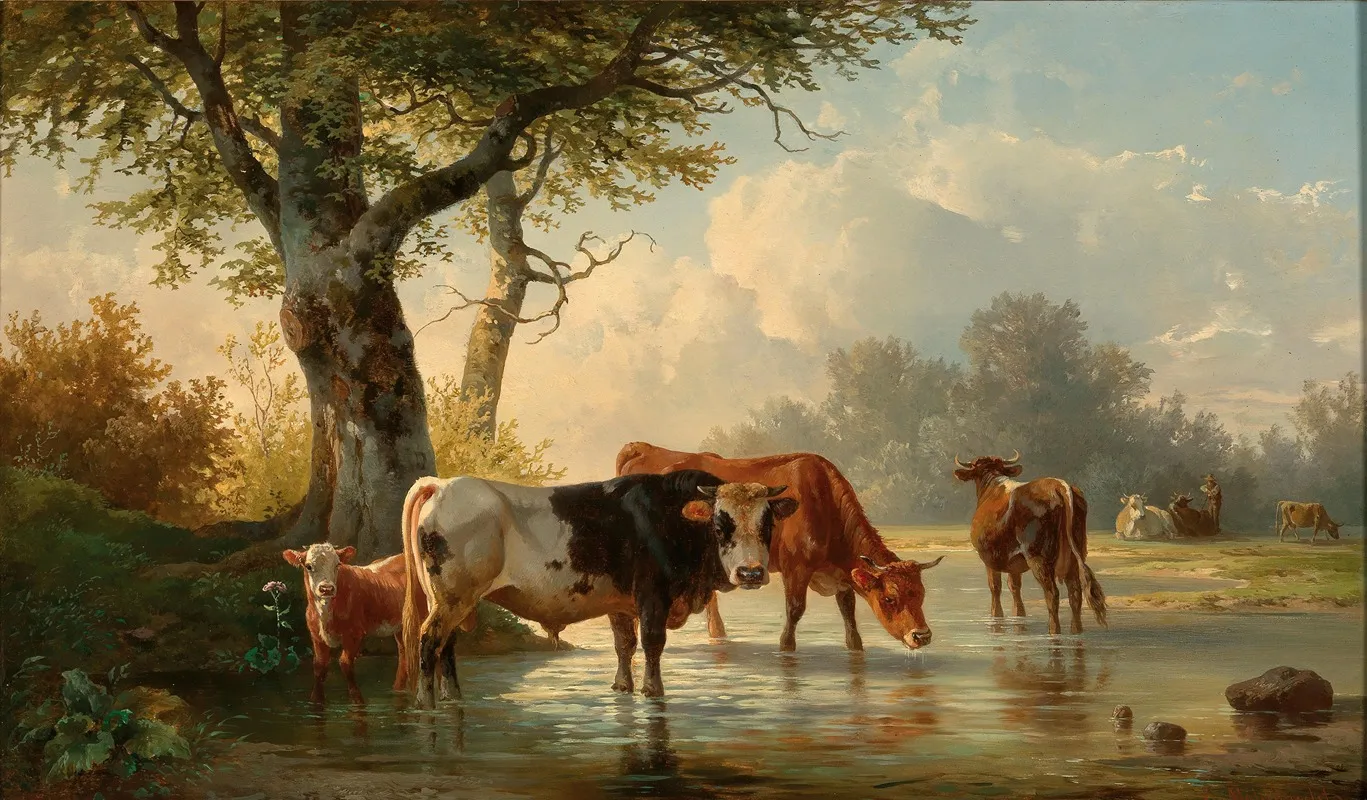 Grazing Cows By The Water