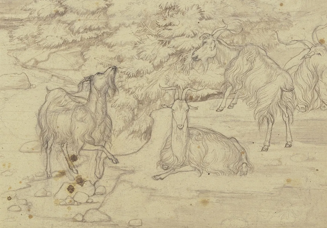 Grazing Goats