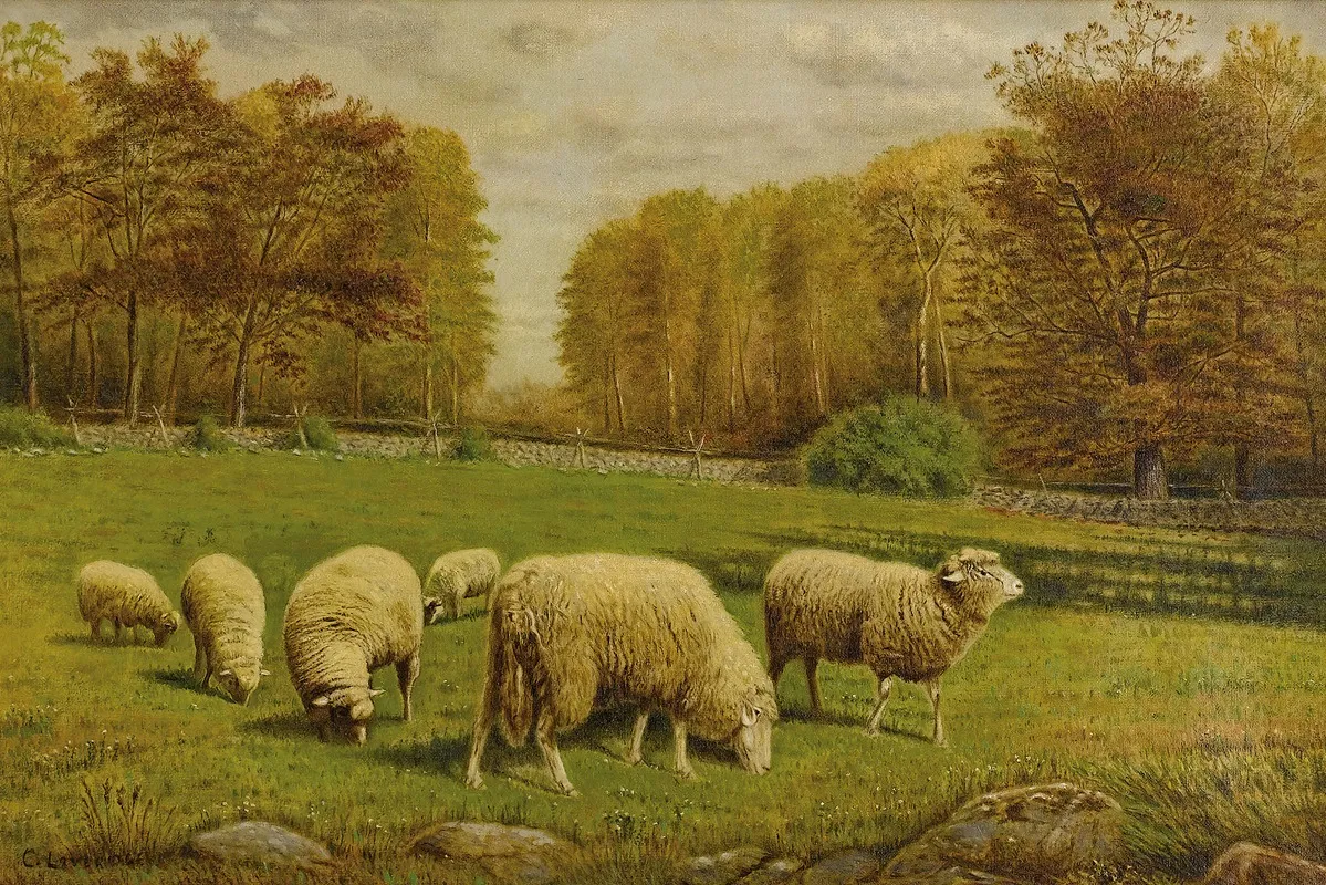 Grazing Sheep 2 Wall Art by Clinton Loveridge - High-Resolution Digital Print