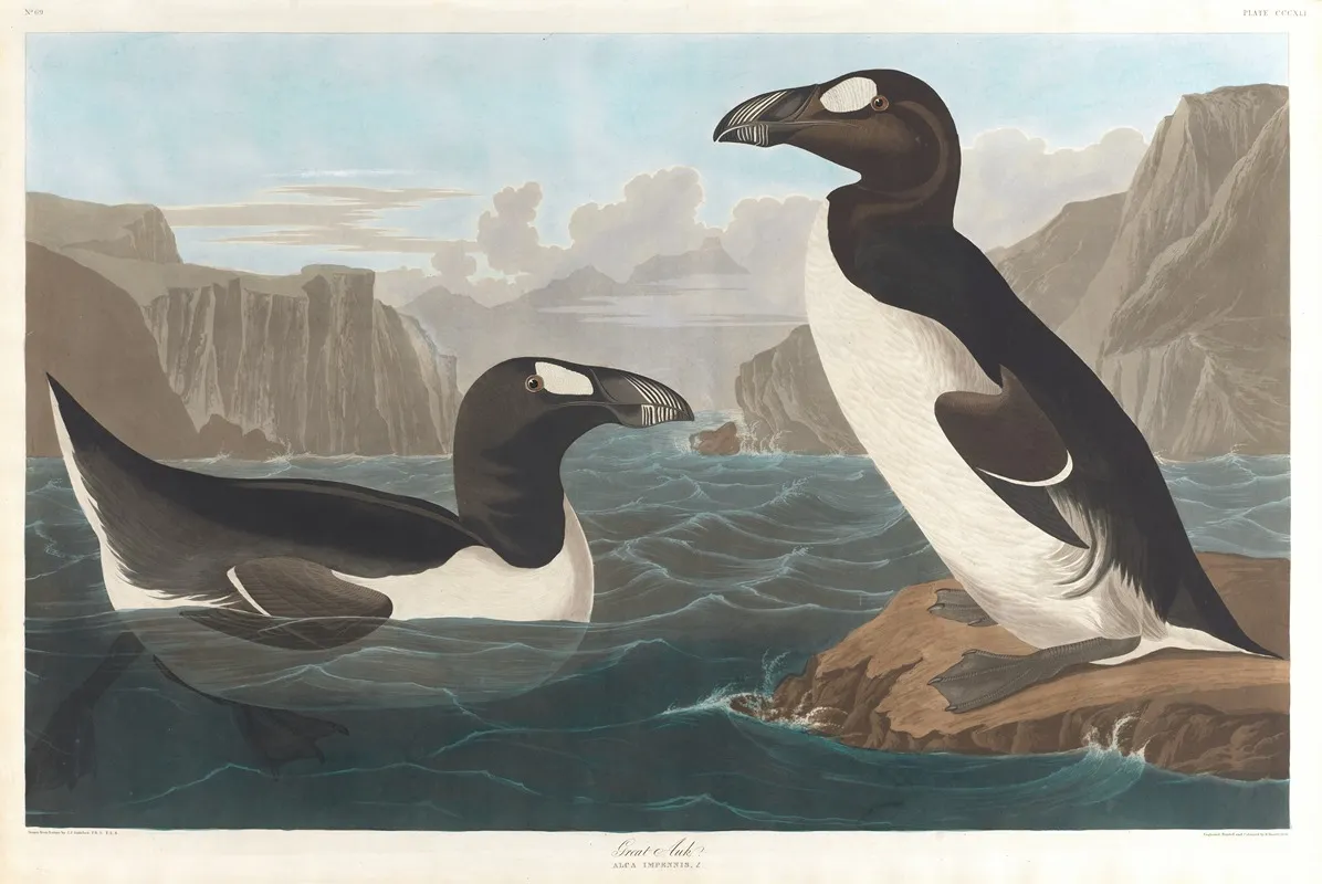 Great Auk Wall Art by John James Audubon - High-Resolution Digital Print