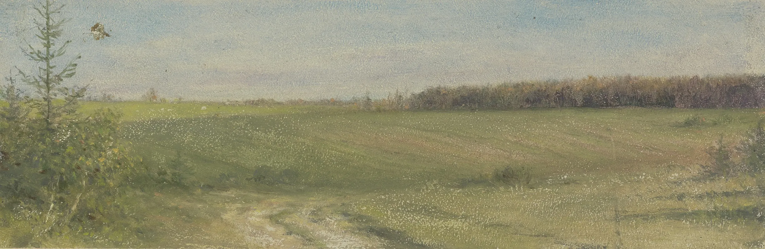 Green Field 3