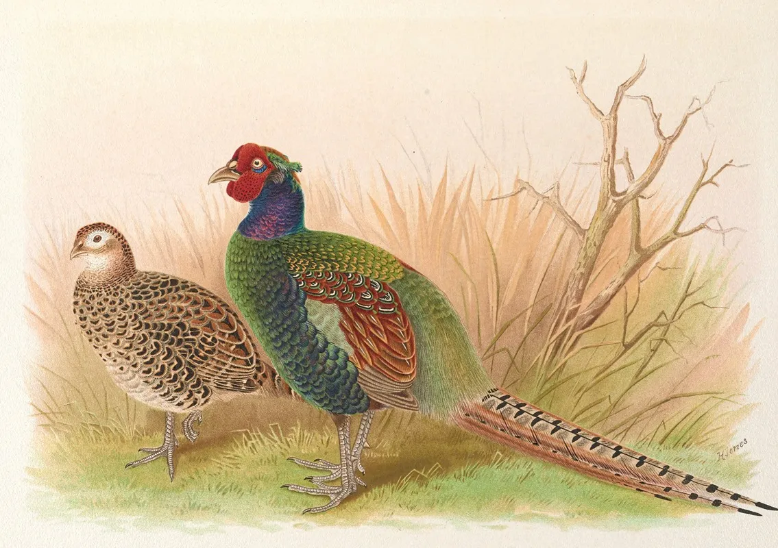 Green Japanese Pheasant Wall Art by Henry Jones - High-Resolution Digital Print