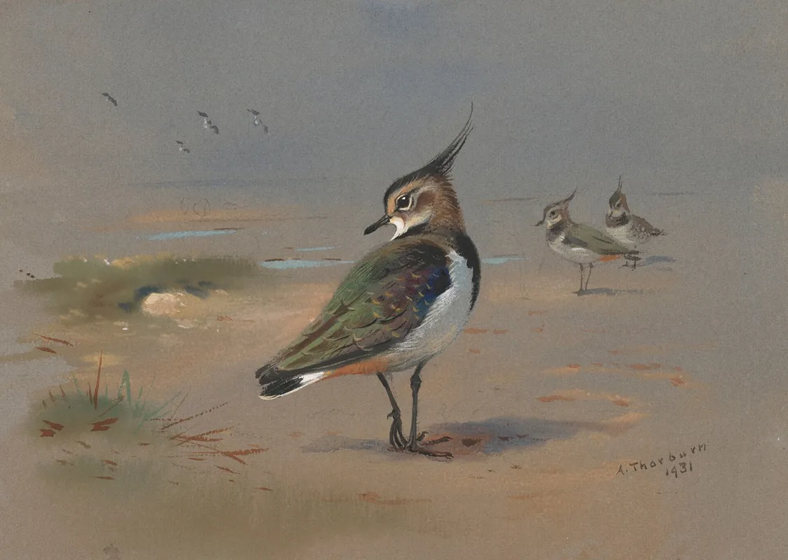 Green Plovers Wall Art by Archibald Thorburn - High-Resolution Digital Print