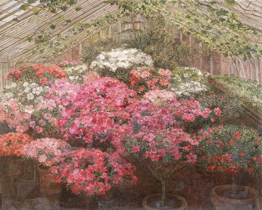 Greenhouse With Azaleas