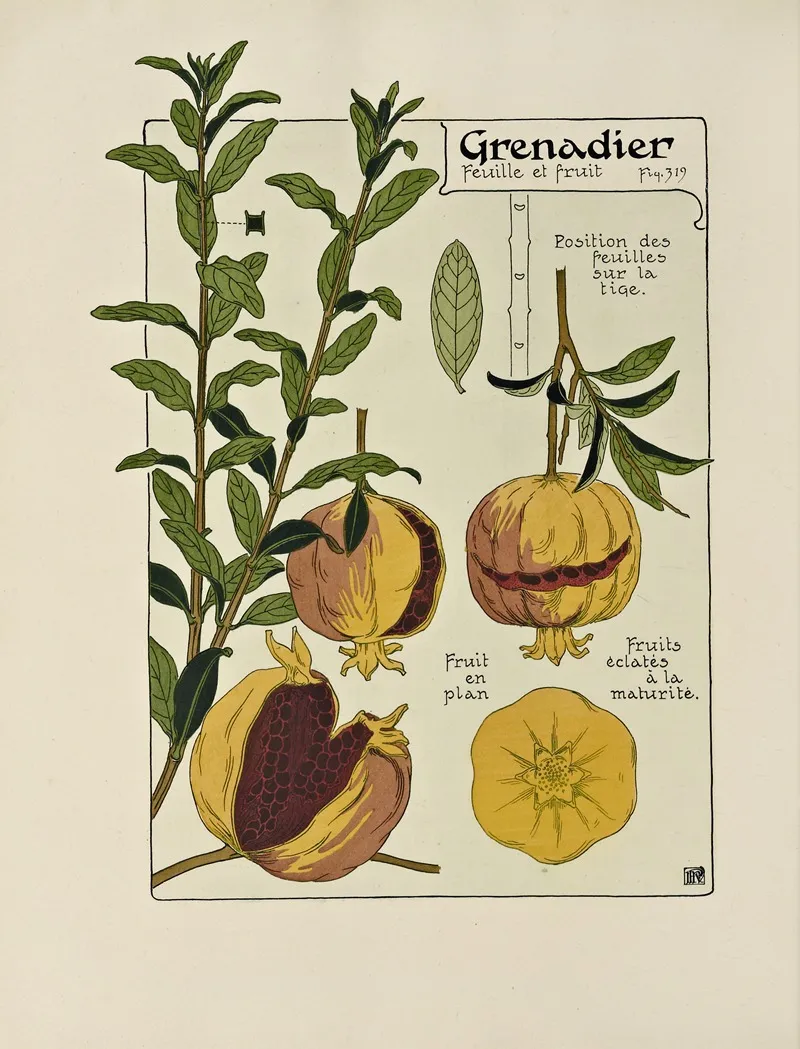 Grenadier 3 Wall Art by Maurice Pillard Verneuil - High-Resolution Digital Print