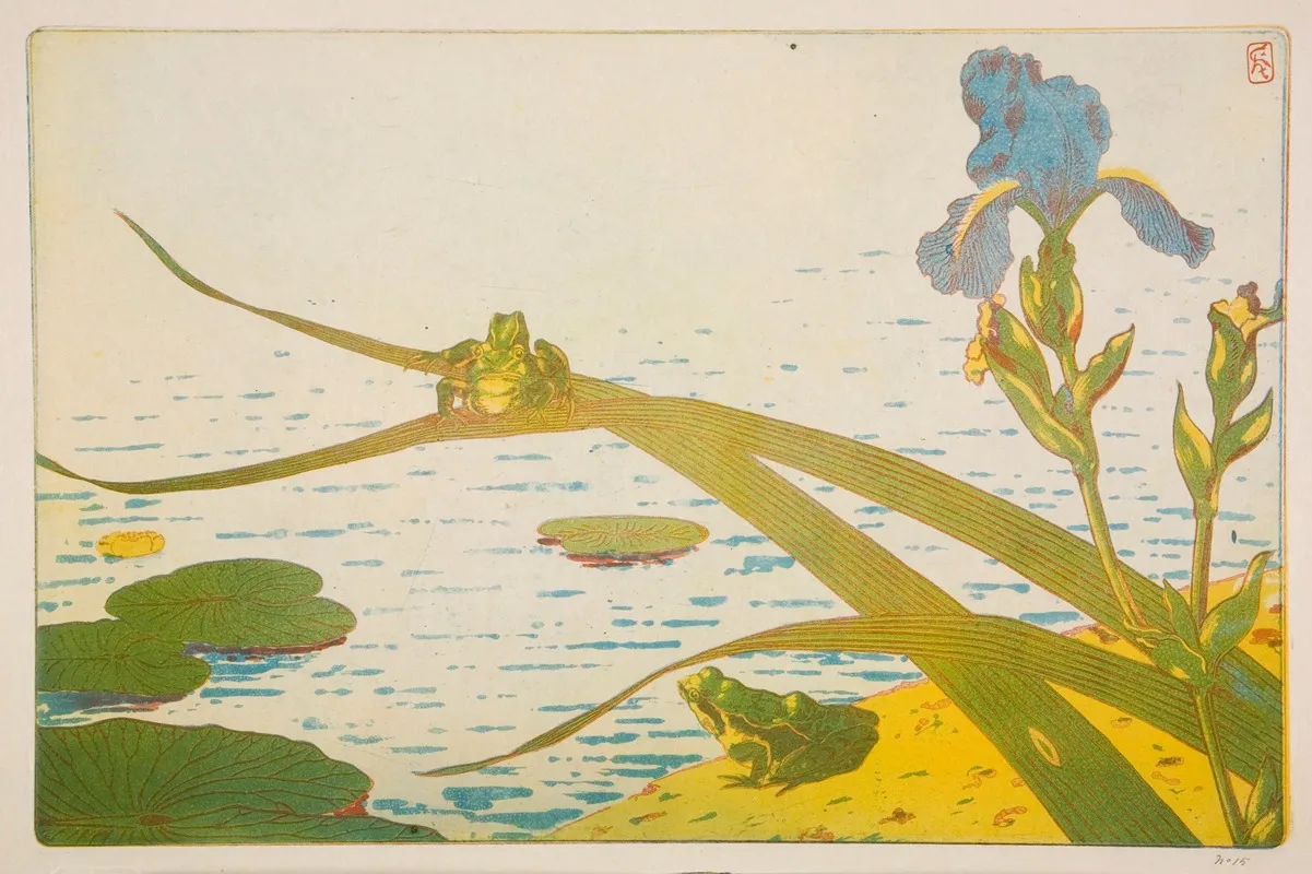 Grenouilles Et Iris