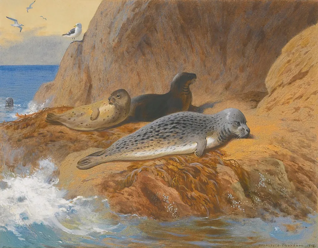 Grey And Harbour Seals At Rest Wall Art by Archibald Thorburn - High-Resolution Digital Print
