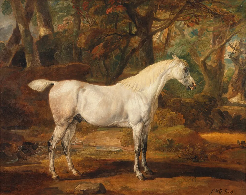 Grey Arabian Stallion The Property Of Sir Watkin Williams Wynn Wall Art by James Ward - High-Resolution Digital Print