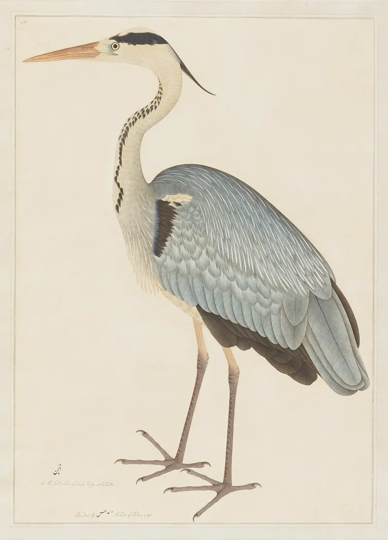 Grey Heron 2 Wall Art by Ramdas - High-Resolution Digital Print