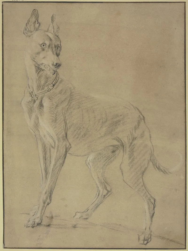 Greyhound To The Left Wall Art by Jan Weenix - High-Resolution Digital Print