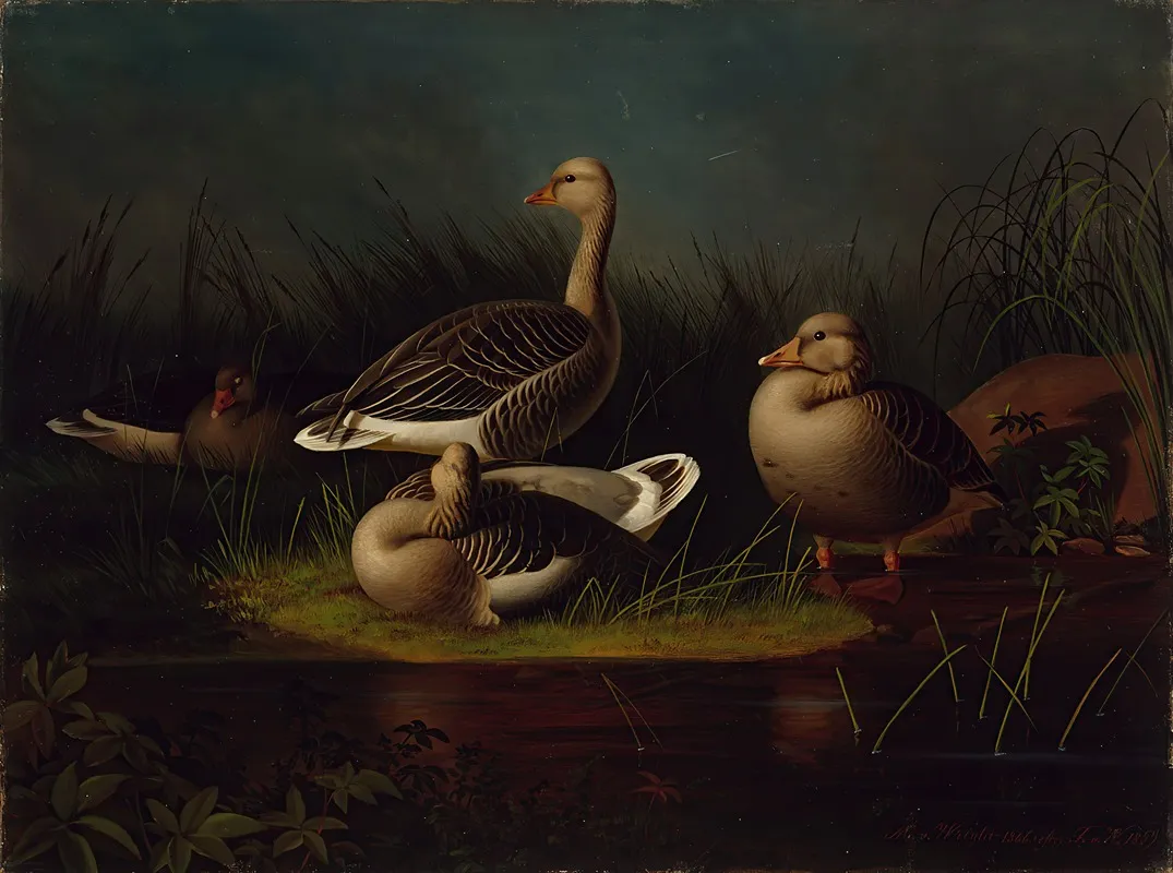 Greylag Geese Copy After Ferdinand Von Wright Wall Art by Magnus Von Wright - High-Resolution Digital Print