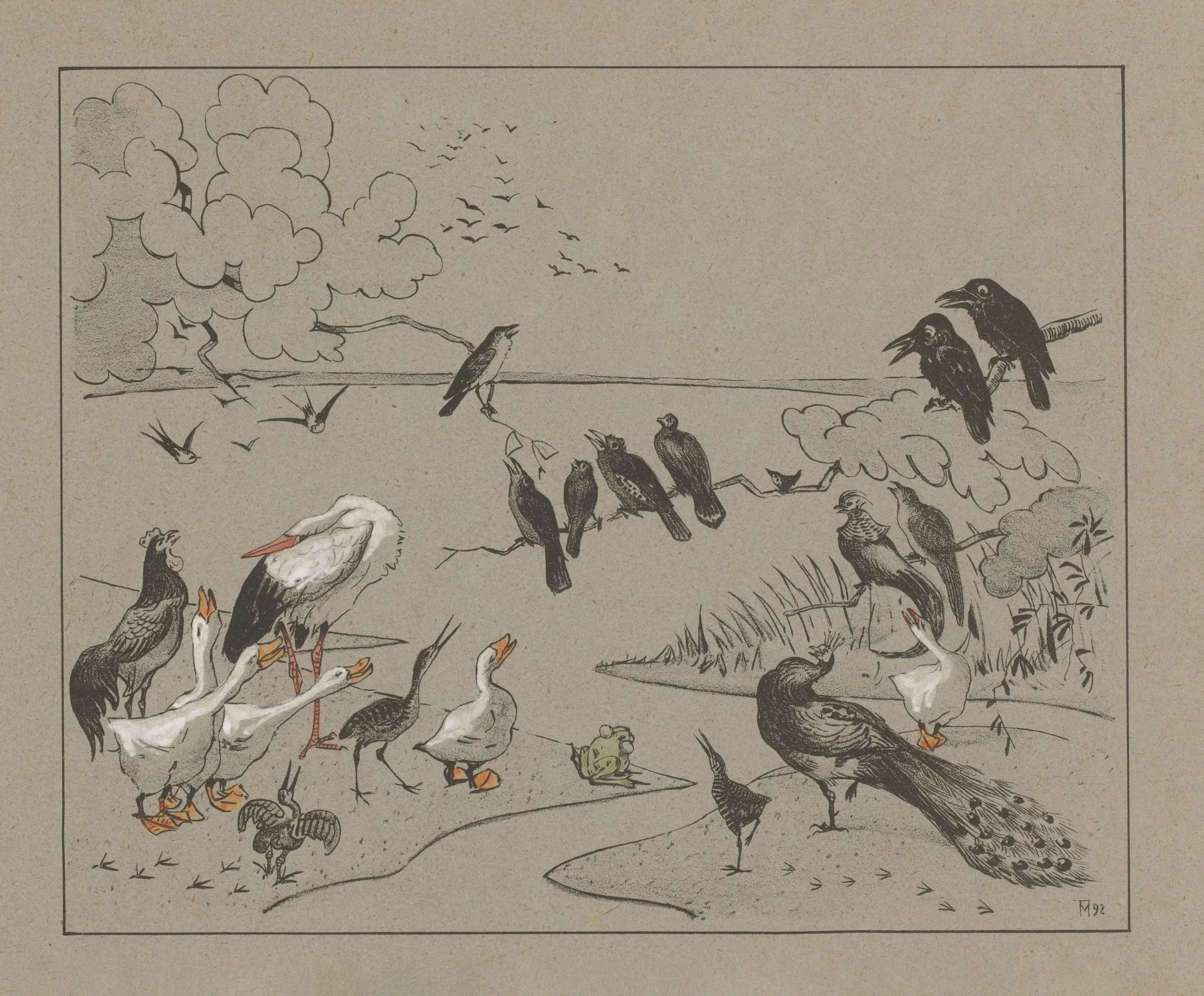 Groep Diverse Vogels En Een Kikker