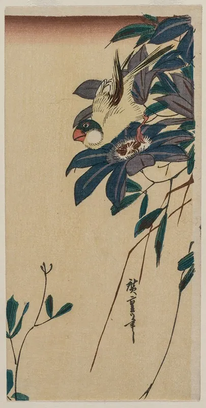 Grosbeak And Clematis