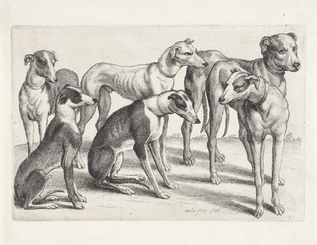 Group Of Six Hounds In A Field