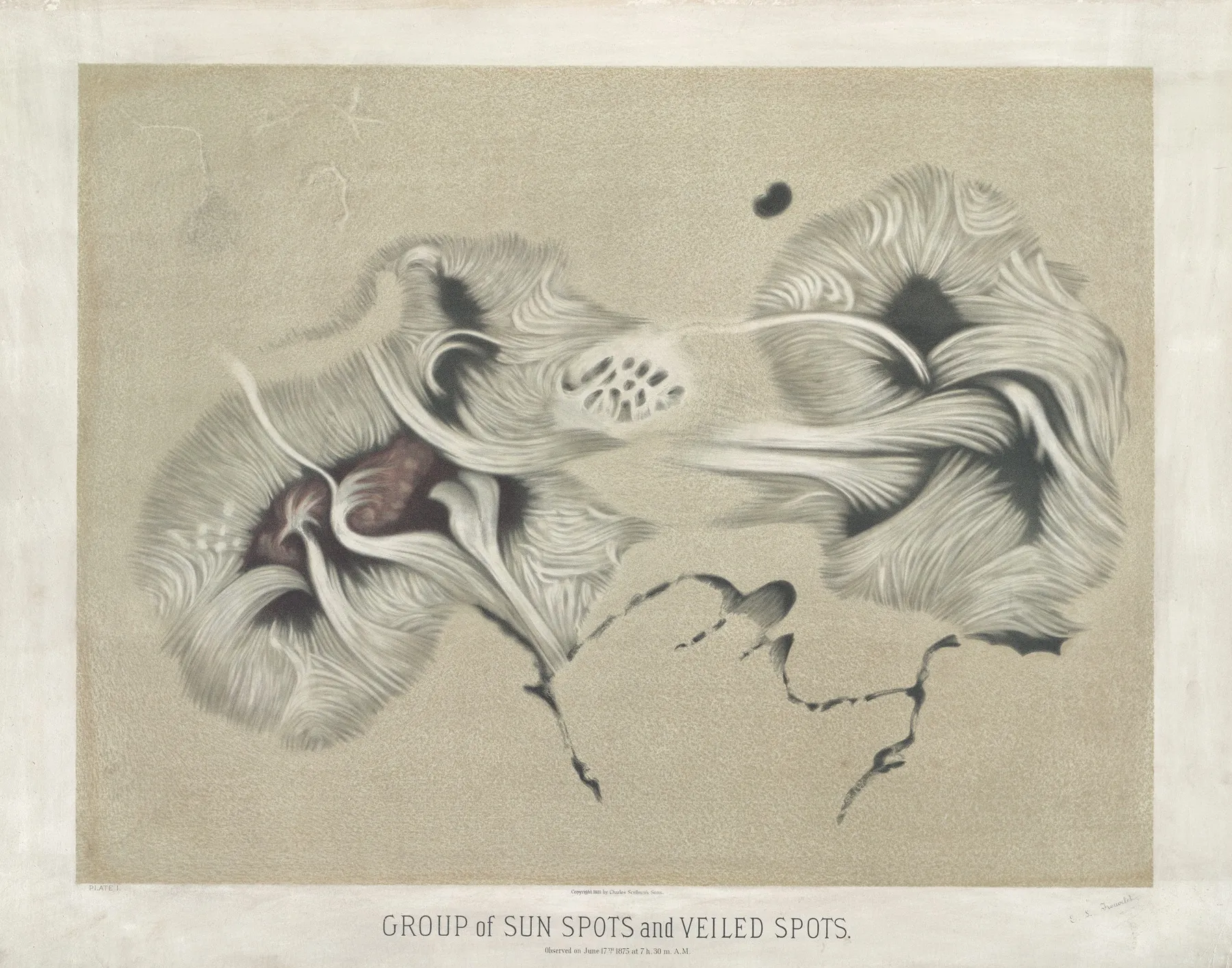 Group Of Sun Spots And Veiled Spots Wall Art by Étienne Léopold Trouvelot - High-Resolution Digital Print