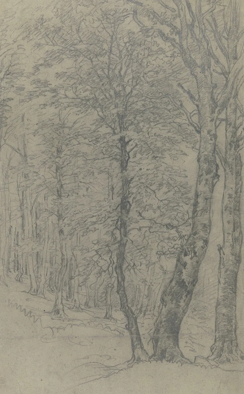 Group Of Trees 2 2
